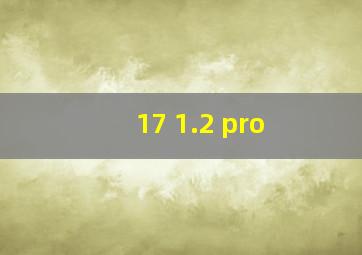 17 1.2 pro